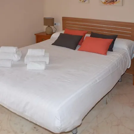 Casa-patio Palmeras Cordoba