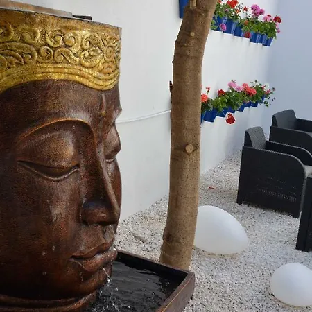 Casa-patio Palmeras Cordova