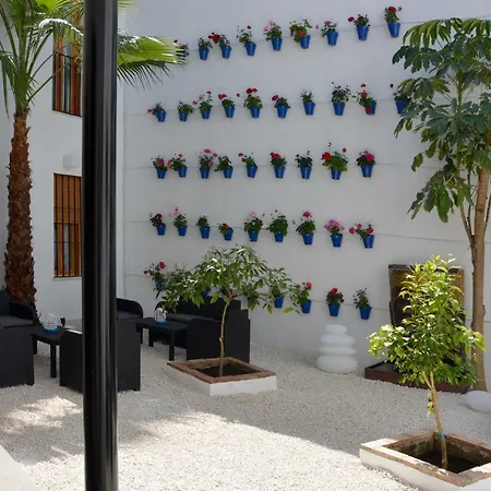 Apartamento Casa-patio Palmeras Córdoba