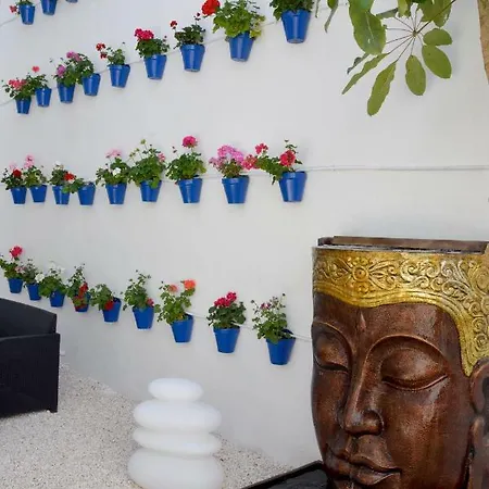 Casa-patio Palmeras Apartamento Córdoba